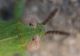 rsz_img_20160707_200602.jpg