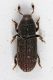 2016-07-10-17.18.05-ZS-PMax.jpg