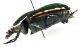 CombM2095_15zL6cr.jpg