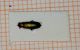 IMG_20160715_235759.jpg