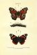 CUbiodiversity2187167_0028.jpg