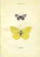 CUbiodiversity2187167_0064.jpg
