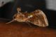 DSC_9428.jpg
