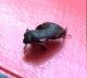 IMG_20160728_165057.jpg