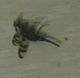 P_20160708_000457_1_p_1_1.jpg