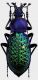 Carabus (Coptolabrus) elysii xiaoganicus Deuve et Remond,  2016 - Kopie.JPG