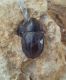 rps20160809_093532.jpg