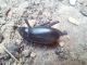 rps20160810_175638.jpg