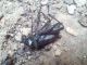 rps20160810_175702.jpg