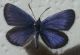20160814_112517.jpg