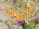 DSCN5353.JPG