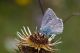 7D2_6313.jpg