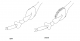tarsal corbels.png