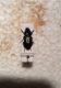 POECILOIDES.jpg
