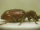 DSCN2281.JPG