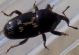DSCN6780.JPG