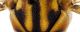 FG028-4_detail.jpg