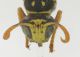 DSCN2537.JPG