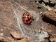 TG_Via_Settebagni_07-01-2017_TG4_006.JPG