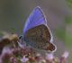 IMGP3672_sm.JPG