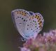IMGP3674_sm.JPG