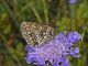 20160721ecrins008.jpg