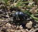 Greece2010 101.JPG