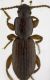 2016-10-23 20-40-3999 (A,Radius4,Smoothing2).jpg