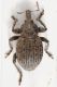 2017-04-28-21.34.57-ZS-PMax.jpg
