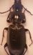 20170501_103944.jpg