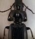 20170501_104033.jpg