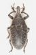 2017-05-02-21.07.32-ZS-PMax.jpg