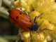 DSC_0114 Correction.jpg
