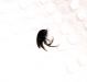 P_20170516_131508_vHDR_On.jpg