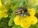 DSCN5446.jpg
