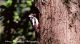 scansione00031.JPG