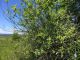 IMG_4315 copy.jpg