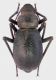 DSCN2770.JPG
