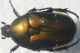 20170530_105839.jpg