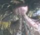 20170530_112610.jpg