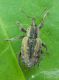 DSCN7651.JPG
