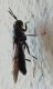 DSCF8414.JPG