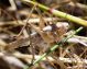 DSCN9665.JPG