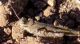 DSCN9629.JPG