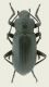 DSCN2831.JPG