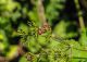 rsz_1rsz_p6120107.jpg