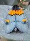 DSCF8270.JPG