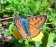 DSCN9416.JPG