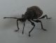 DSCF8478.JPG