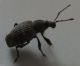 DSCF8483.JPG